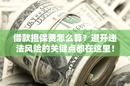 济南借款担保费怎么算？避开违法风险的关键点都在这里！