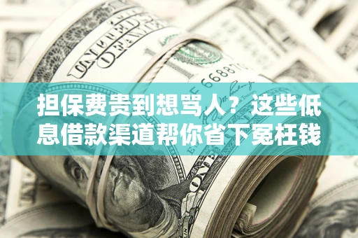 济南担保费贵到想骂人？这些低息借款渠道帮你省下冤枉钱