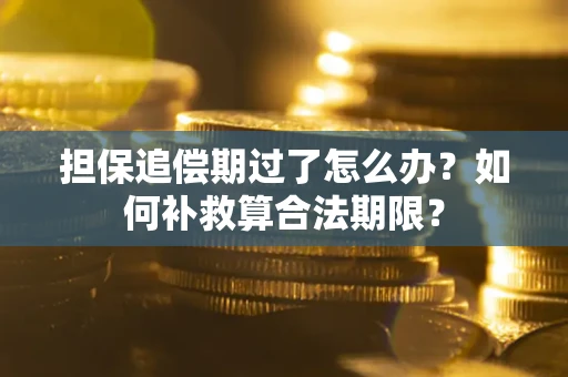 济南担保追偿期过了怎么办？如何补救算合法期限？