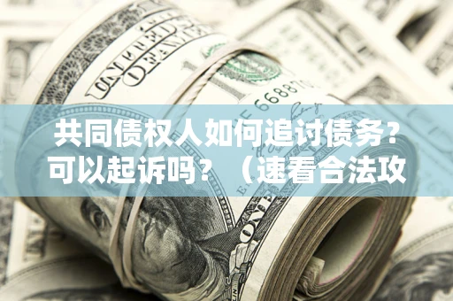 济南共同债权人如何追讨债务？可以起诉吗？（速看合法攻略）