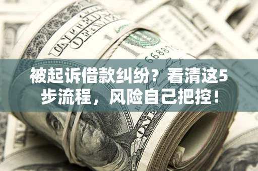 济南被起诉借款纠纷？看清这5步流程，风险自己把控！